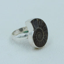 Millions of Years old Fossil Ammonite Jewelry Set