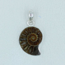 Millions of Years old Fossil Ammonite Jewelry Set