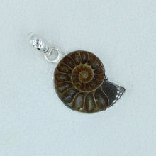 Millions of Years old Fossil Ammonite Jewelry Set