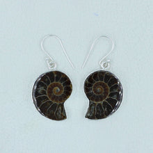 Millions of Years old Fossil Ammonite Jewelry Set