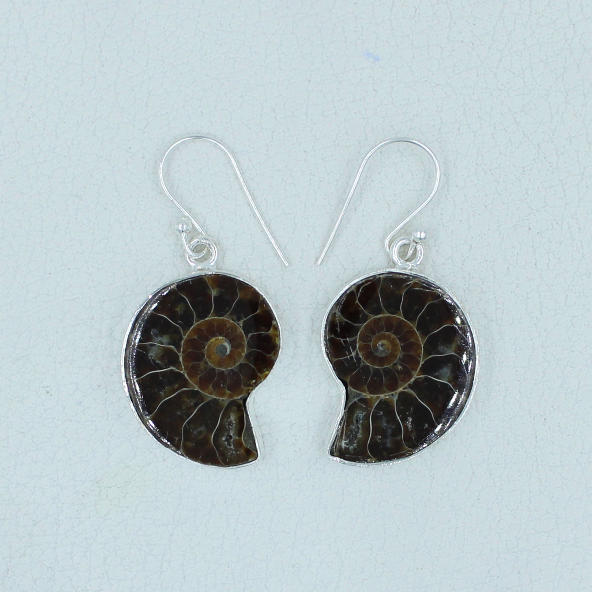 Ammonite Fossil Earring Artisan Made Jewelry