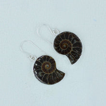 Ammonite Fossil Earring Artisan Made Jewelry