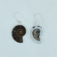 Ammonite Fossil Earring Artisan Made Jewelry