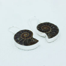 Millions of Years old Fossil Ammonite Jewelry Set