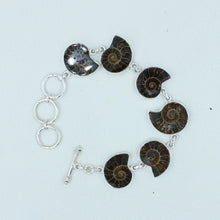Fossil Ammonite Sterling Silver Bracelets