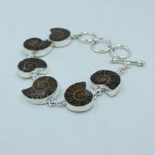 Fossil Ammonite Sterling Silver Bracelets