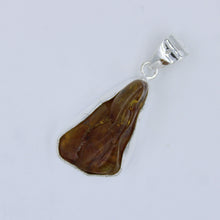 Natural Amber Quintessence 925 Sterling Silver Pendant