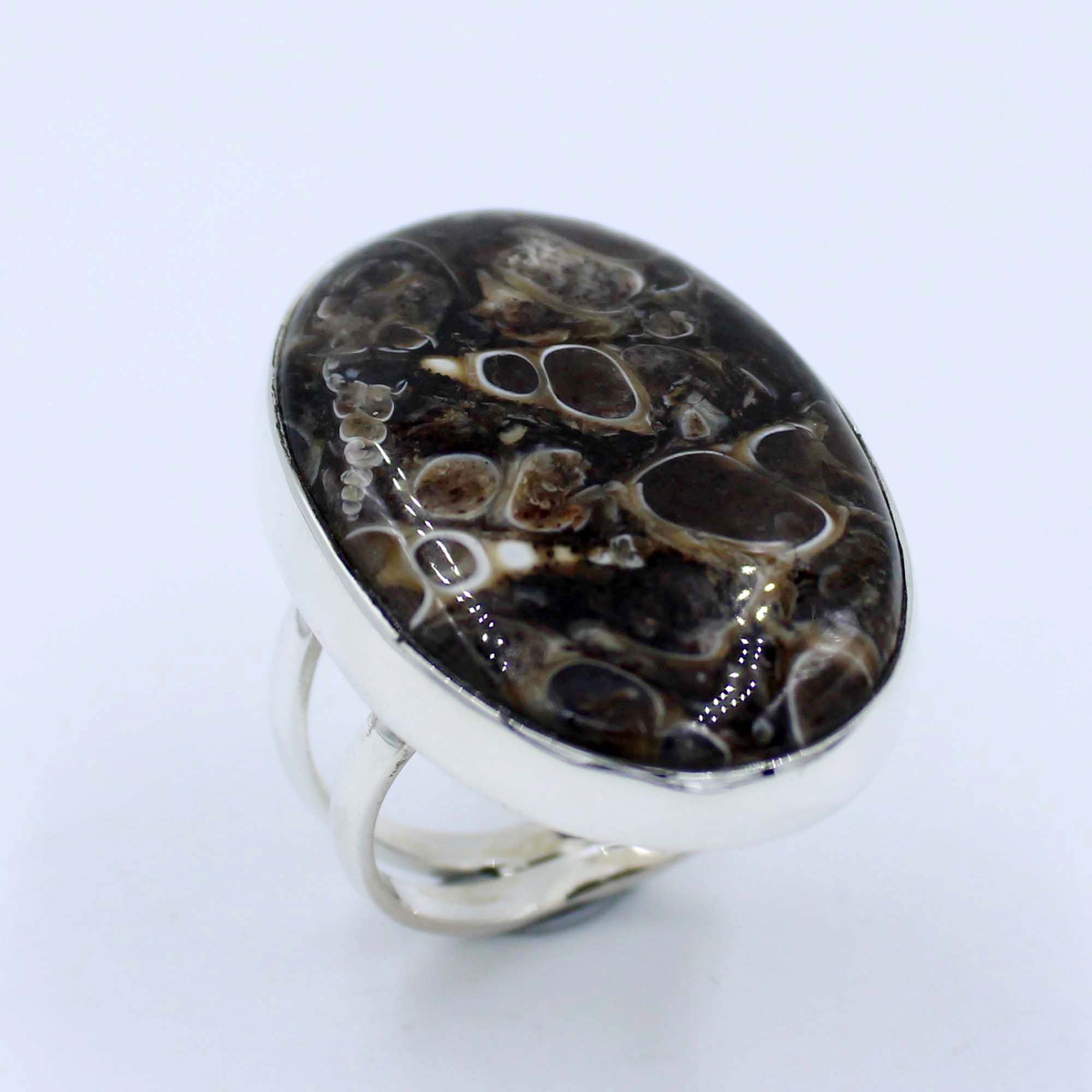 Turritella Agate Sterling Silver Ring