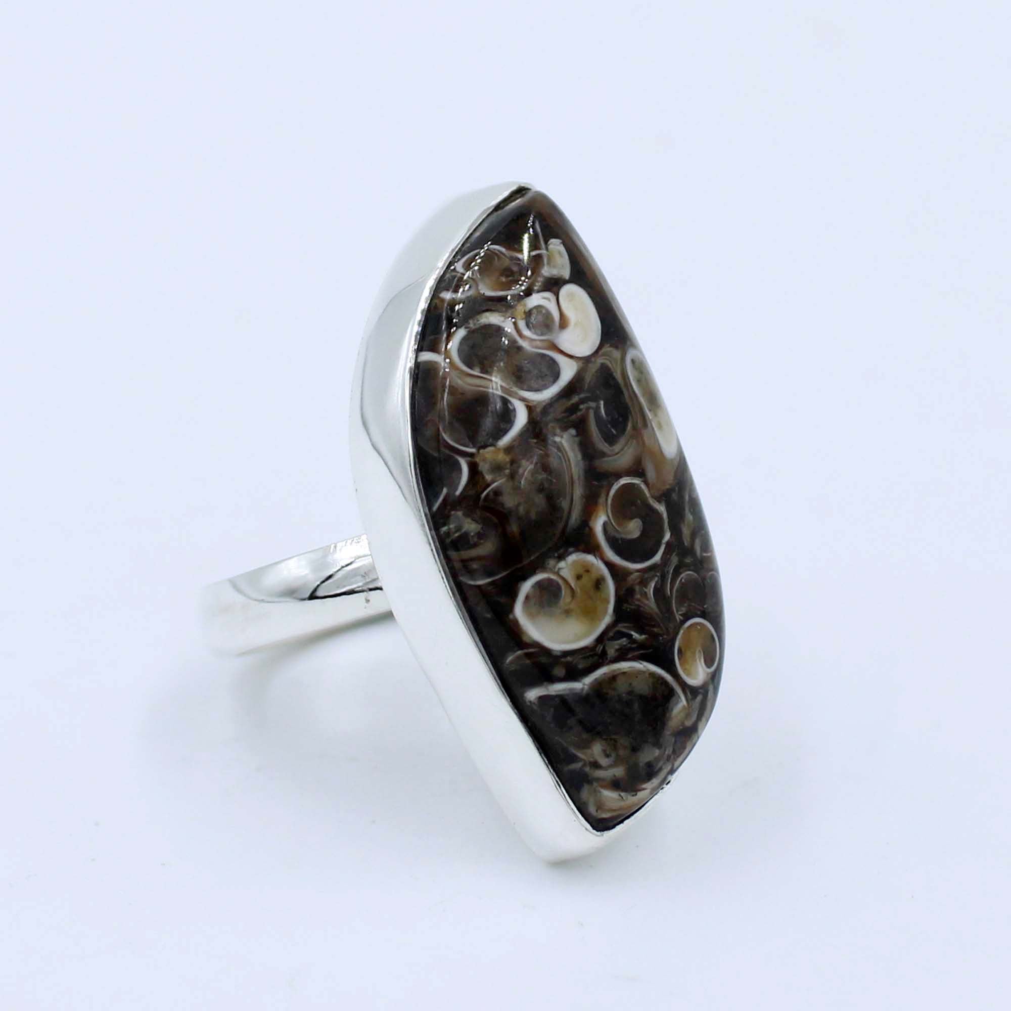 Fancy Turritella Agate 925 Silver Ring